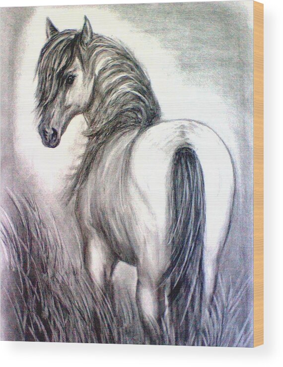 Horse Wood Print featuring the drawing Mustang by J L Zarek