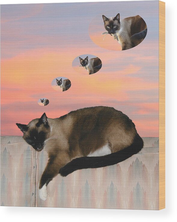 Siamese Cat Wood Print featuring the photograph My Favorite Dream - Mouse Hunt by Her Arts Desire