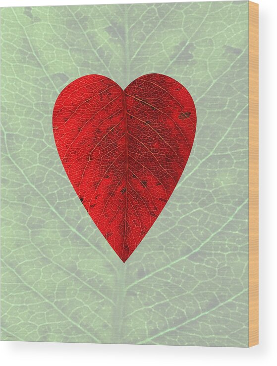 Red Wood Print featuring the digital art Nature's Heart by Deborah Smith