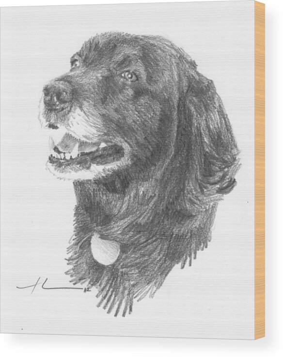 <a Href=http://miketheuer.com Target =_blank>www.miketheuer.com</a> Old Black Lab Pencil Portrait Wood Print featuring the drawing Old Black Lab Pencil Portrait by Mike Theuer