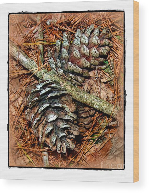 Pine Wood Print featuring the photograph Pine Cones by Judi Bagwell