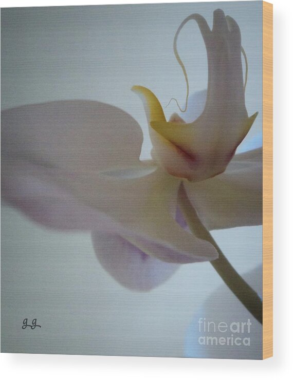 Orchid Wood Print featuring the photograph Remember by Geri Glavis