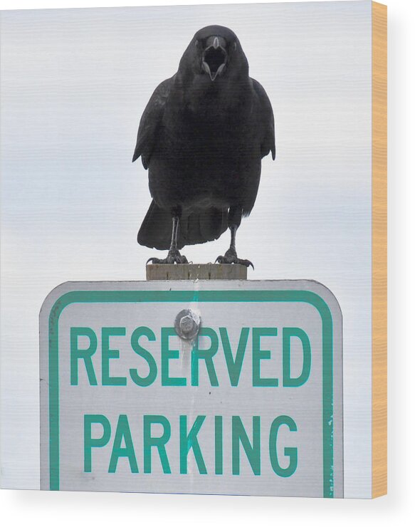 Beach Wood Print featuring the photograph Reserved Parking by Ronda Broatch