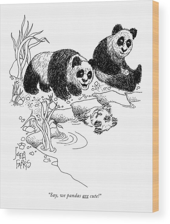 
(one Panda To Another Wood Print featuring the drawing Say, We Pandas Are Cute! by Joseph Farris