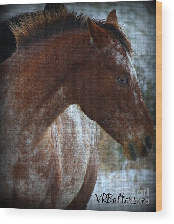 Horses Wood Print featuring the photograph Textures on Paint by Veronica Batterson