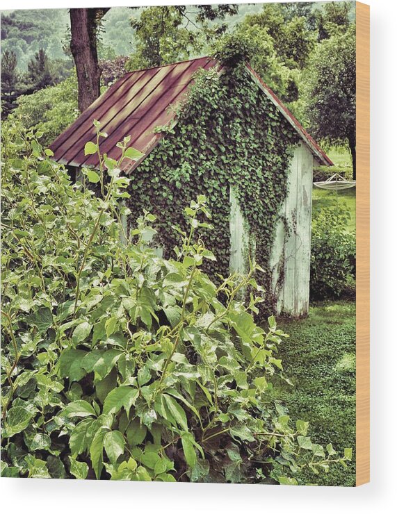 Old Shack Wood Print featuring the photograph The Old Shack by Jean Goodwin Brooks