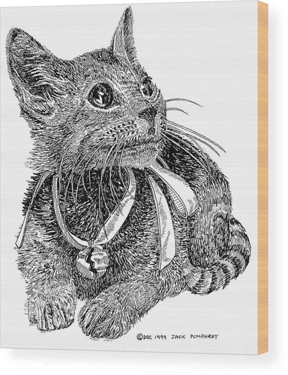 Inked Drawings Of Pets. Pen & Ink Drawings Of Cats Wood Print featuring the drawing Cutie Pie TINKER BELL by Jack Pumphrey