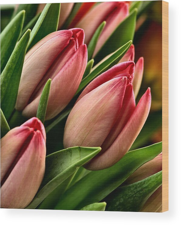 Tulips Wood Print featuring the photograph Tulips by David Kay