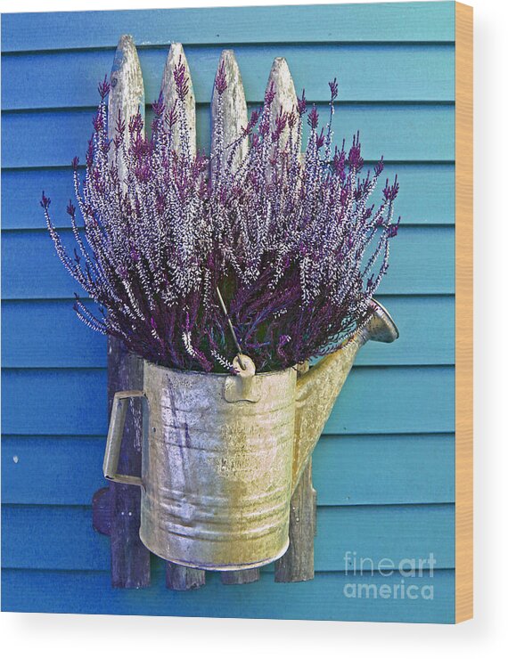 Floral Wood Print featuring the photograph Watering Can On The Blue Wall by Sebastian Mathews Szewczyk