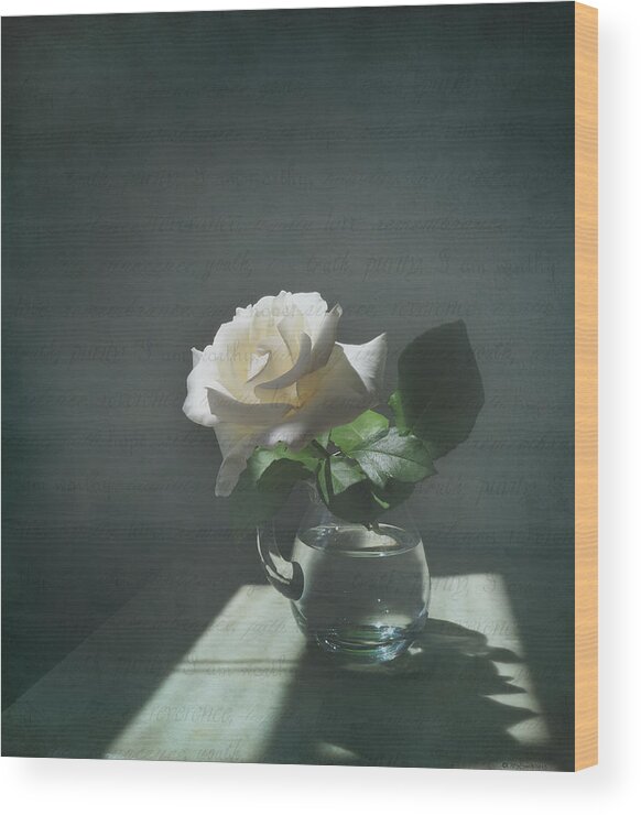 Rose Wood Print featuring the photograph White Rose Still Life by Deborah Smith