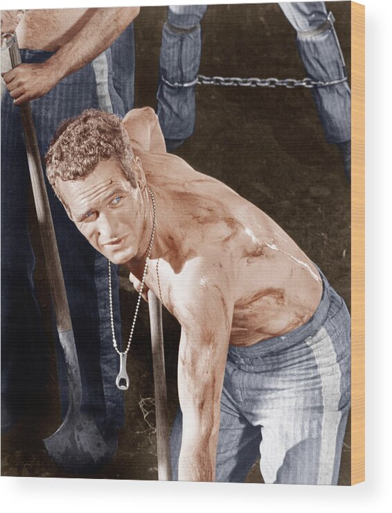 1960s Movies Wood Print featuring the photograph Cool Hand Luke, Paul Newman, 1967 #1 by Everett