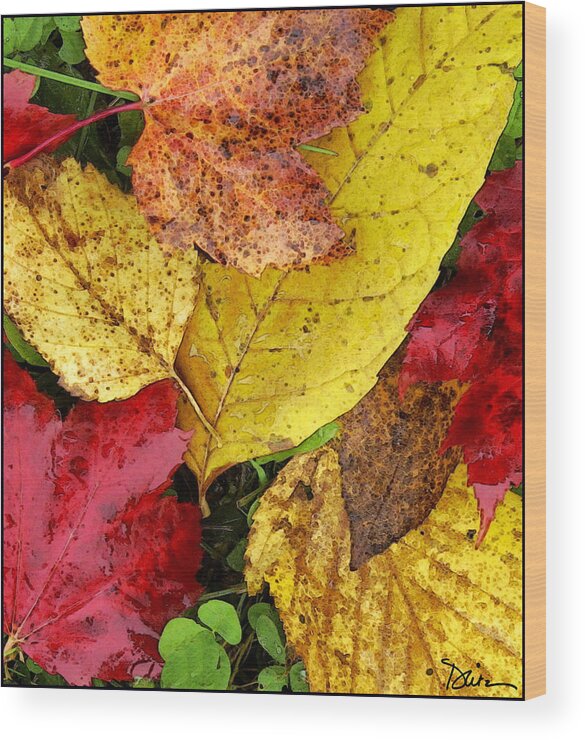 Autumn Leaves Wood Print featuring the photograph Autumn by Peggy Dietz