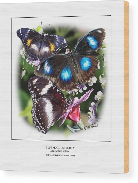 Blue Moon Butterfly Wood Print featuring the digital art Blue Moon Butterfly by Owen Bell