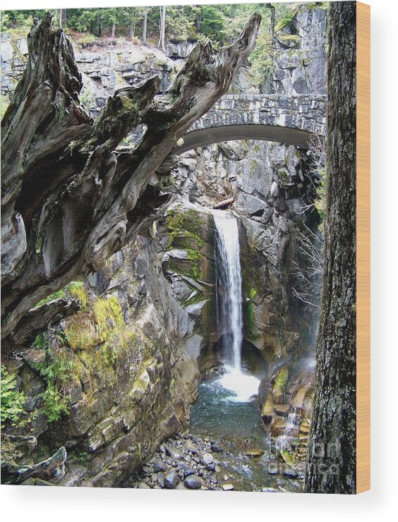 Christine Falls Wood Print featuring the photograph Christine Falls Early Spring by Charles Robinson