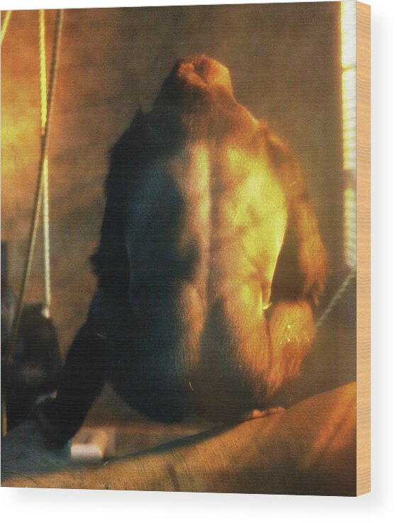 Hovind Wood Print featuring the photograph Powerful Primate by Scott Hovind