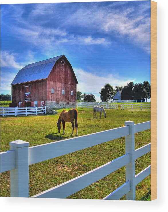 Barn Wood Print featuring the photograph Red White and Barn by Coby Cooper