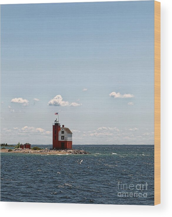 Lighthouse Wood Print featuring the photograph Round Island Light by Terry Doyle