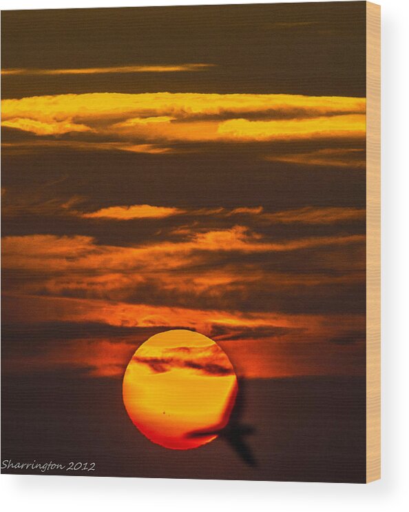 Sun Wood Print featuring the photograph Setting Sun Flyby by Shannon Harrington