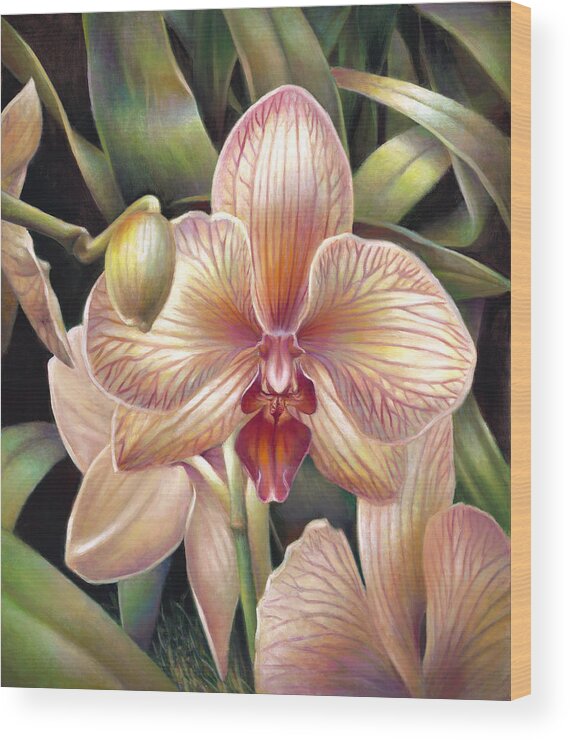 Phalaenopsis Wood Print featuring the painting Striped Peach Orchid by Nancy Tilles