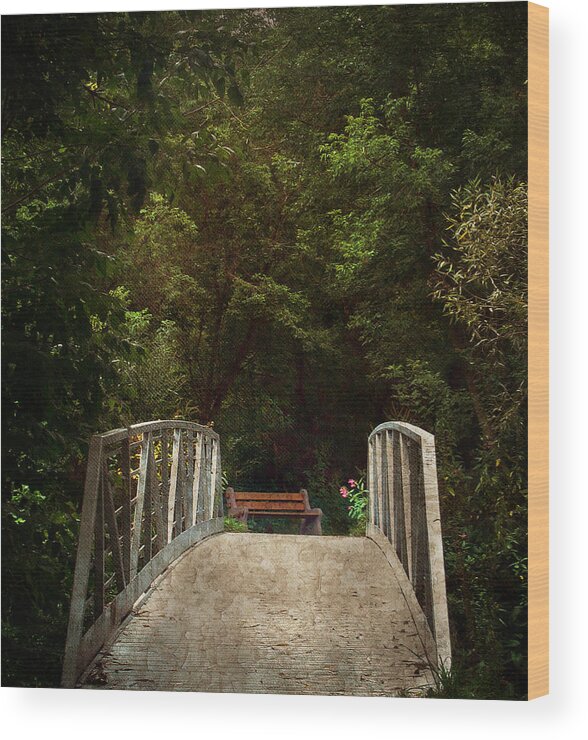 Bridge Wood Print featuring the photograph The Romance is About to Begin by Robin Webster
