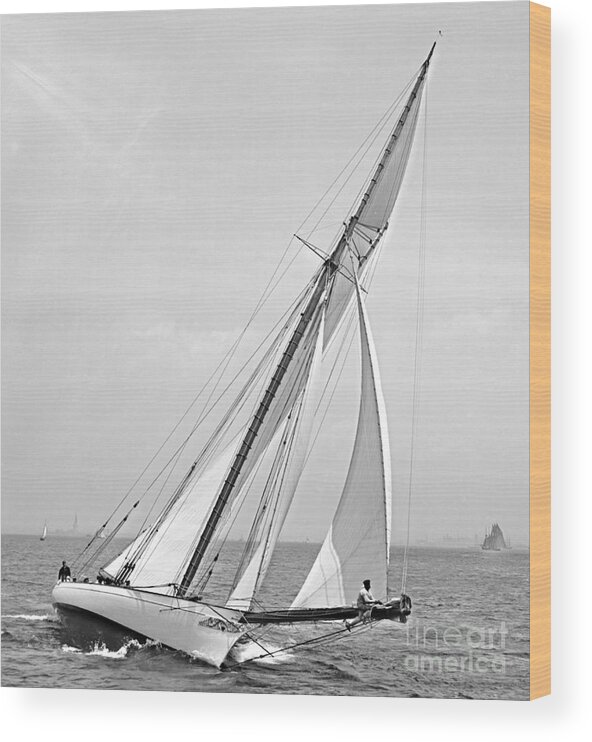 Yacht Shamrock In New York Harbor 1895 Bw Wood Print featuring the photograph Yacht Shamrock in New York Harbor 1895 BW by Padre Art