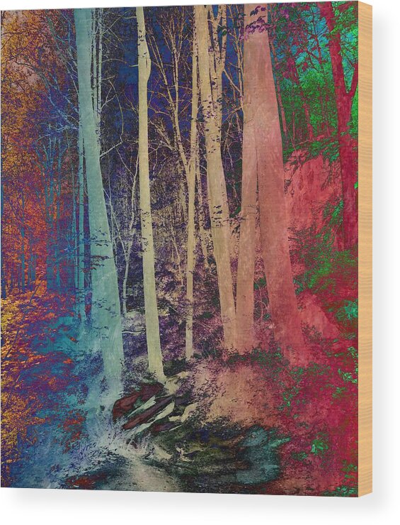 Path Wood Print featuring the photograph Path #1 by Marianna Mills