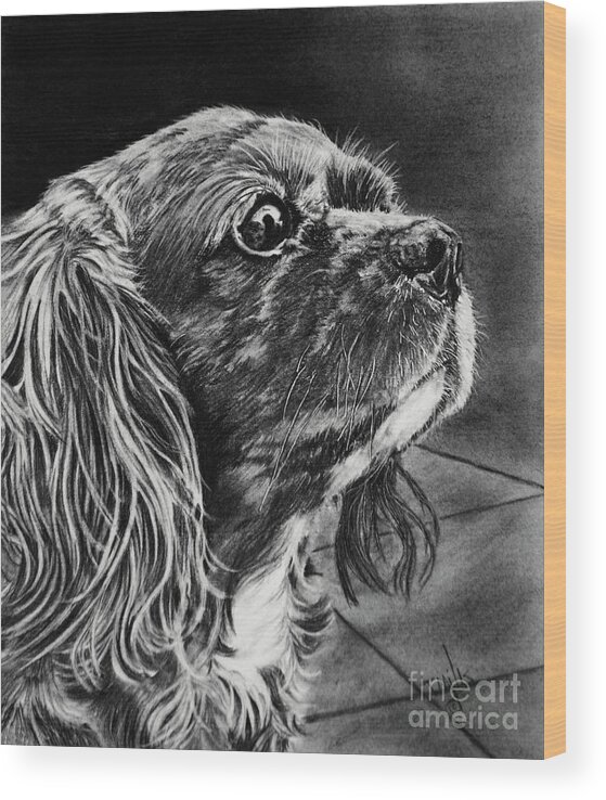 Dog Wood Print featuring the drawing Cavalier II by Terri Mills