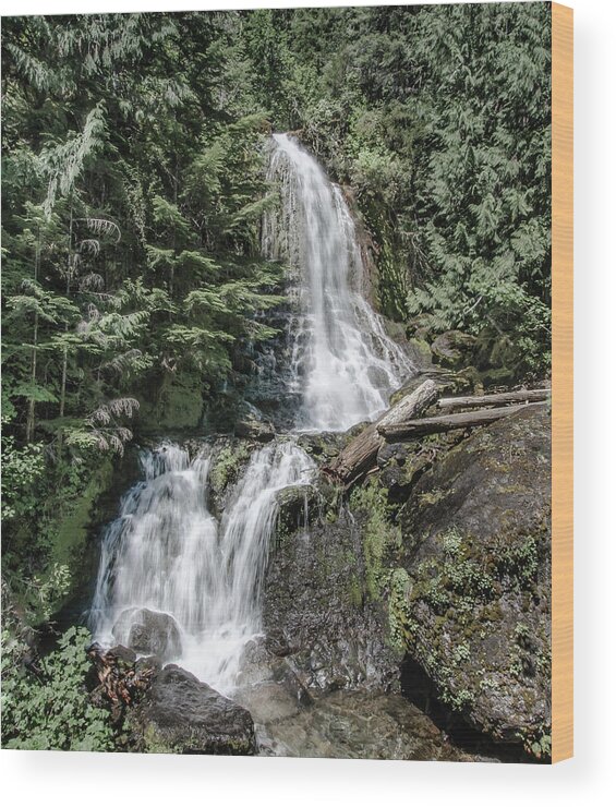 Water Falls Wood Print featuring the photograph Falls Creek Falls by Jaime Mercado