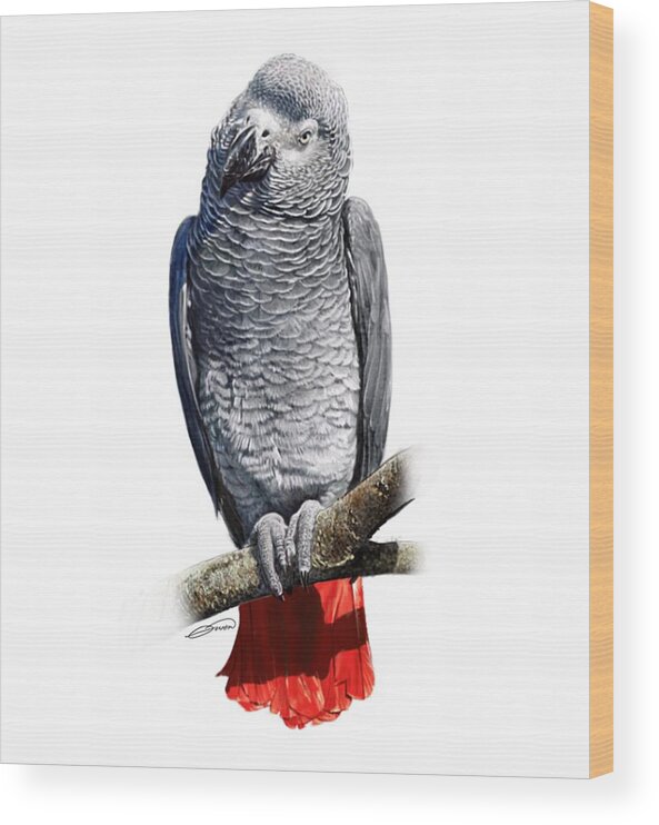 African Wood Print featuring the digital art African Grey Parrot C by Owen Bell