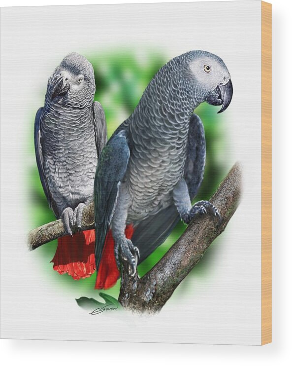 African Wood Print featuring the digital art African Grey Parrots A by Owen Bell