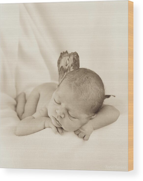 Sepia Wood Print featuring the photograph Aimee as a Fairy by Anne Geddes