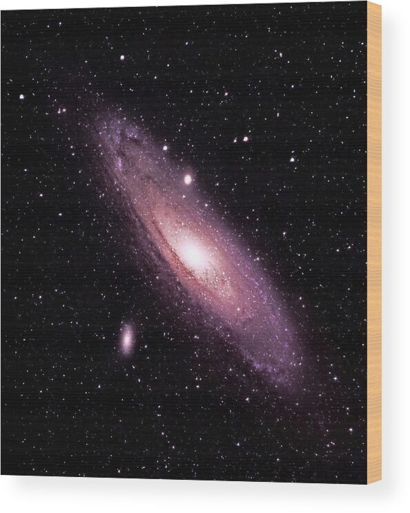 Andromeda Galaxy Wood Print featuring the photograph M31 Andromeda Galaxy by Alan Conder