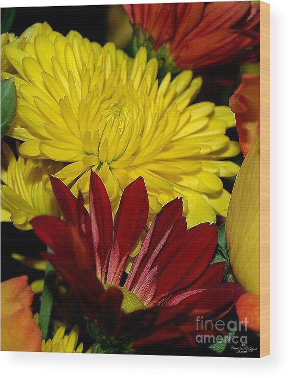 Chrysanthemum Photography Wood Print featuring the photograph Autumn Colors by Patricia Griffin Brett