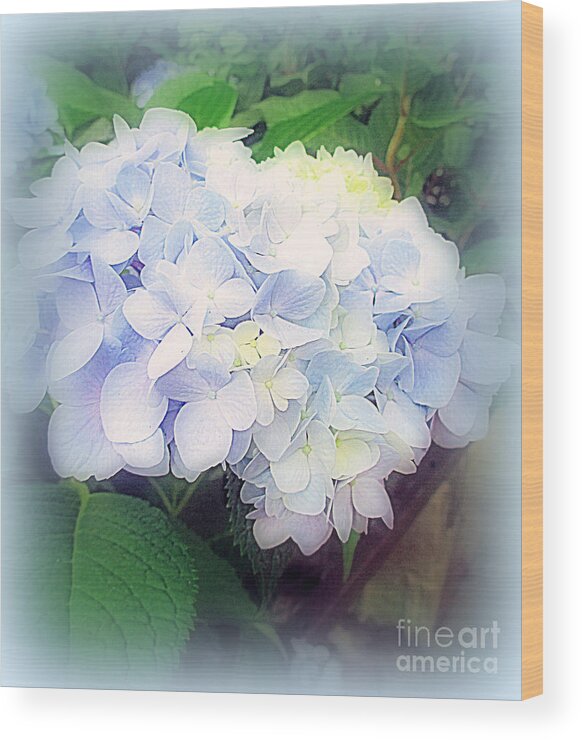 Flower Wood Print featuring the photograph Blue Hydrangea by Kay Novy