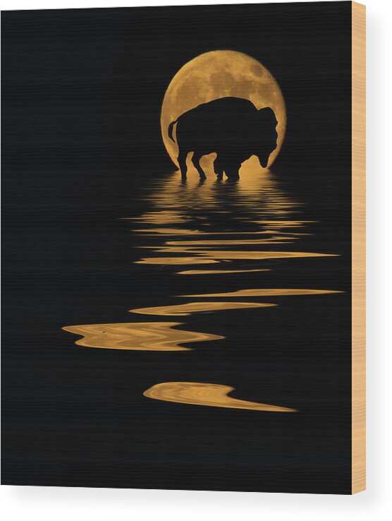 Buffalo Wood Print featuring the photograph Buffalo In The Moonlight by Shane Bechler