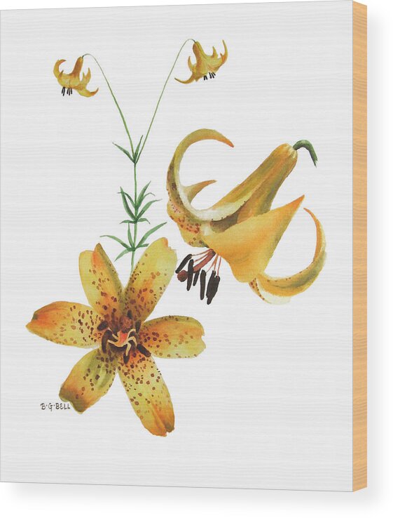 Canada Lily Wood Print featuring the painting Canada Lily Composition by Betsy Gray