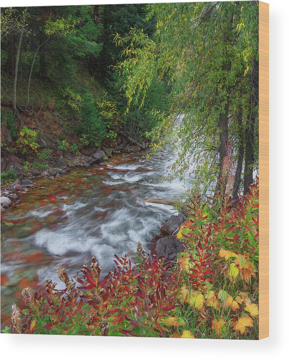 Fall Wood Print featuring the photograph Castle Creek Beauty by Tim Reaves