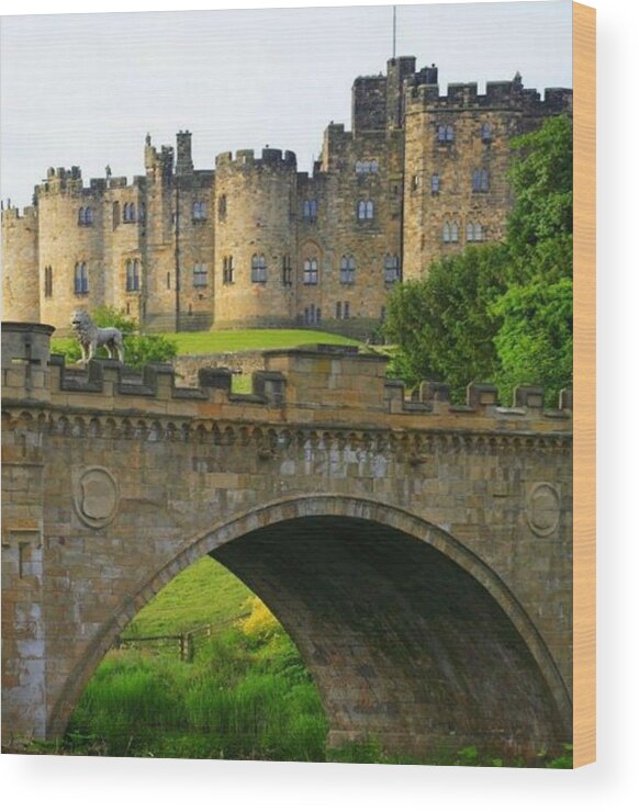 Castles Wood Print featuring the photograph Castles of the UK by Digital Art Cafe