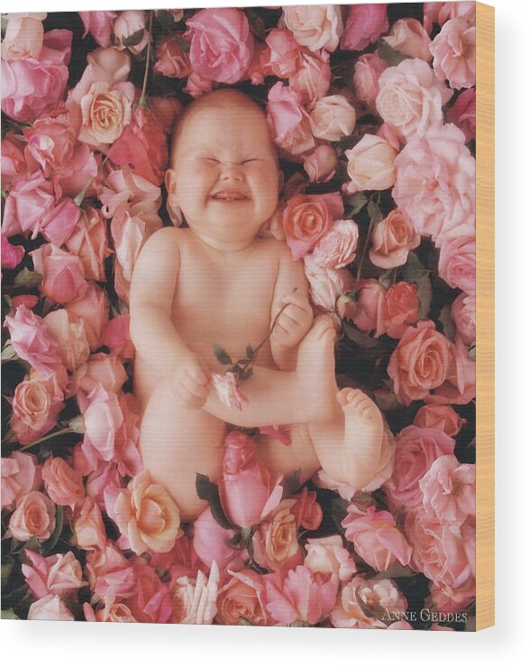 Roses Wood Print featuring the photograph Cheesecake by Anne Geddes