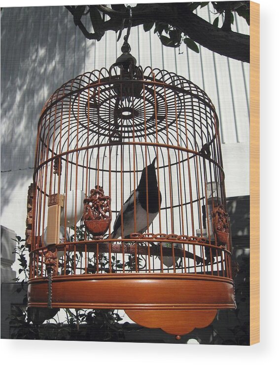 Bird Wood Print featuring the photograph China Bird in Mahogany Cage by Lisa Boyd