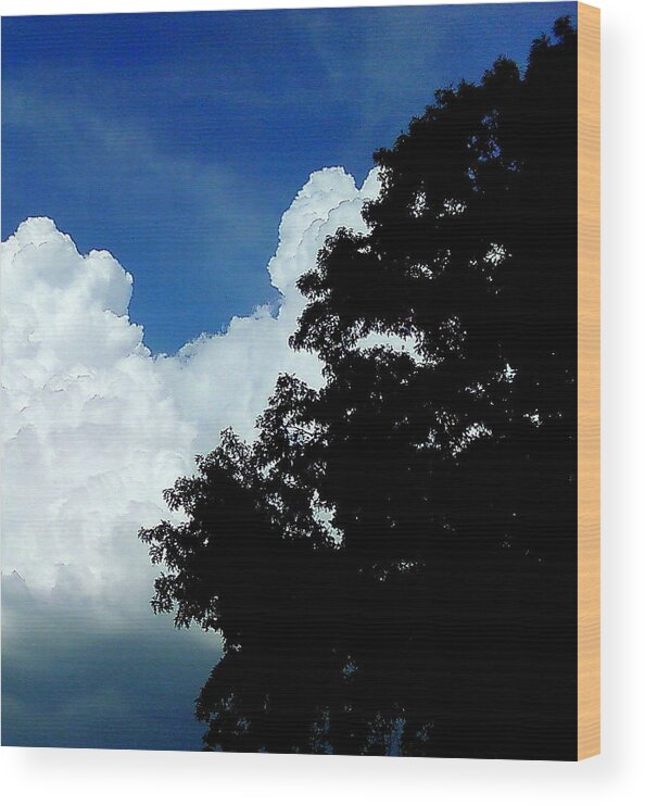 Clouds Wood Print featuring the photograph Clouds by Cindy New