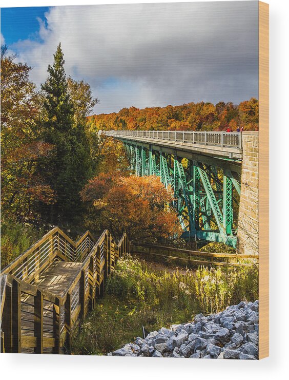 Cut River Bridge Wood Print featuring the photograph Colors at cut river bridge by Joe Holley