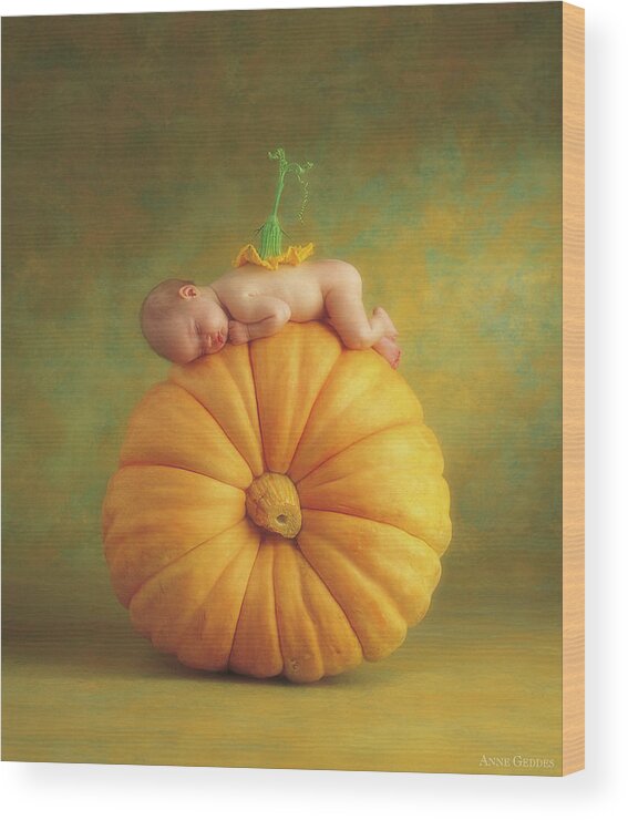 Fall Wood Print featuring the photograph Country Pumpkin by Anne Geddes