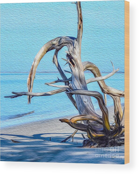 Art Wood Print featuring the painting Driftwood on Jekyll by DB Hayes