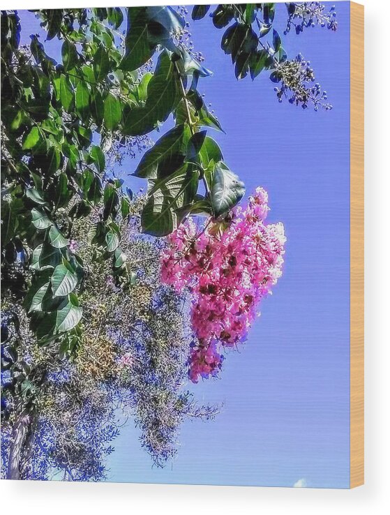 Flowering Tree Wood Print featuring the photograph Floral Essence by Suzanne Berthier