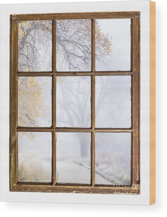 November Wood Print featuring the photograph Foggy Autumn Scene by Marek Uliasz