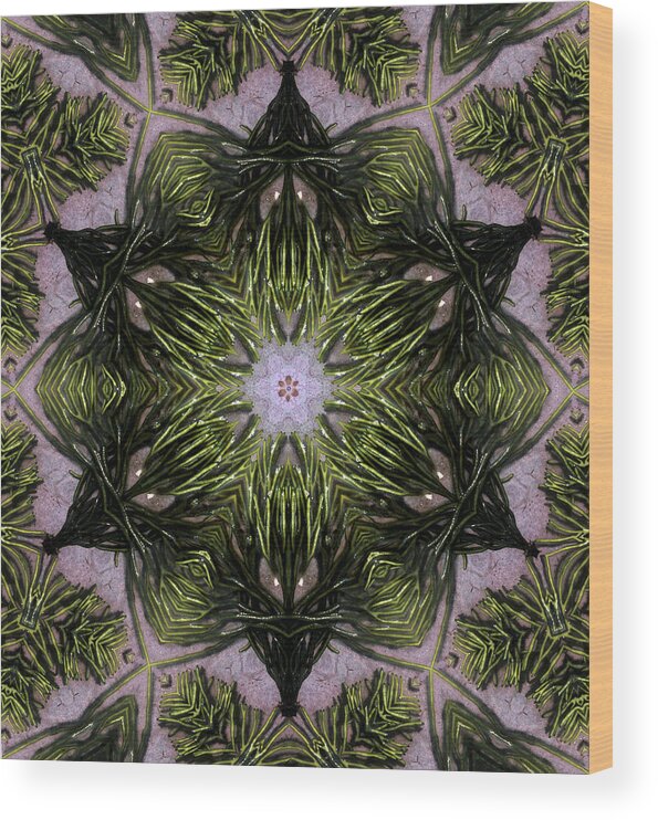 Mandala Wood Print featuring the digital art Mandala Sea Sponge by Nancy Griswold