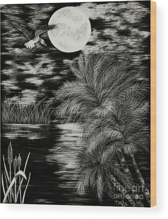 Scratch Wood Print featuring the drawing Night Flight by Terri Mills