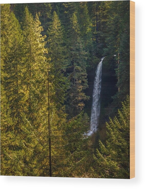Silver Falls State Park Wood Print featuring the photograph North Falls View by Jerry Cahill