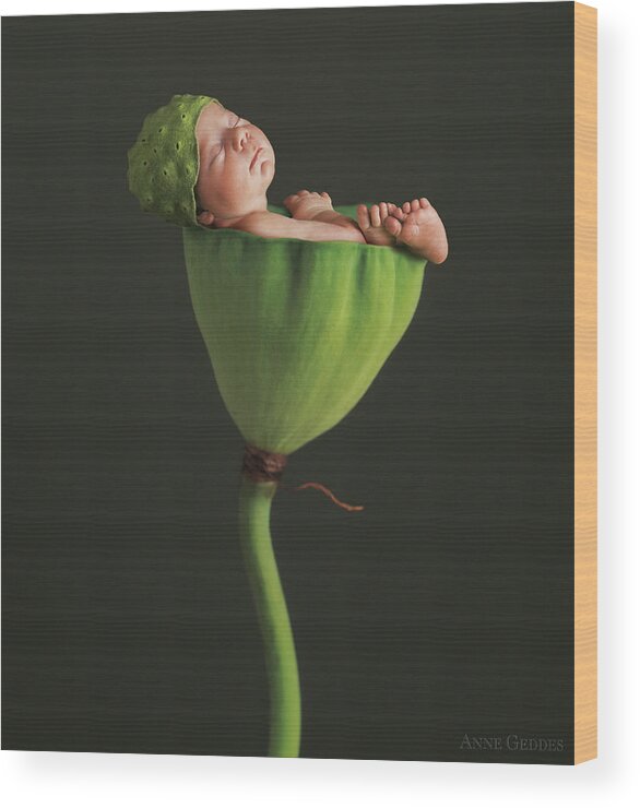 Lotus Wood Print featuring the photograph Nyah in Lotus Bud by Anne Geddes